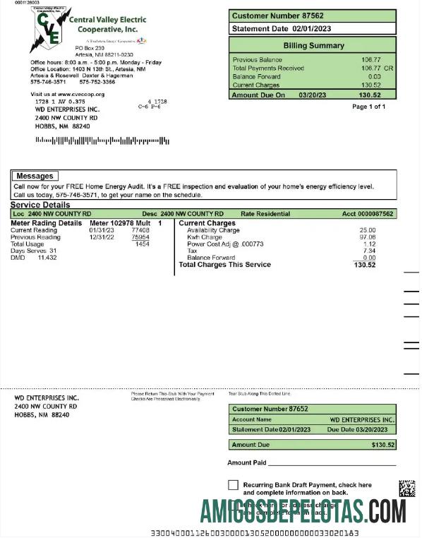 imprimível Modelo Word e PDF de conta de serviços públicos da USA CENTRAL VALLEY ELECTRIC